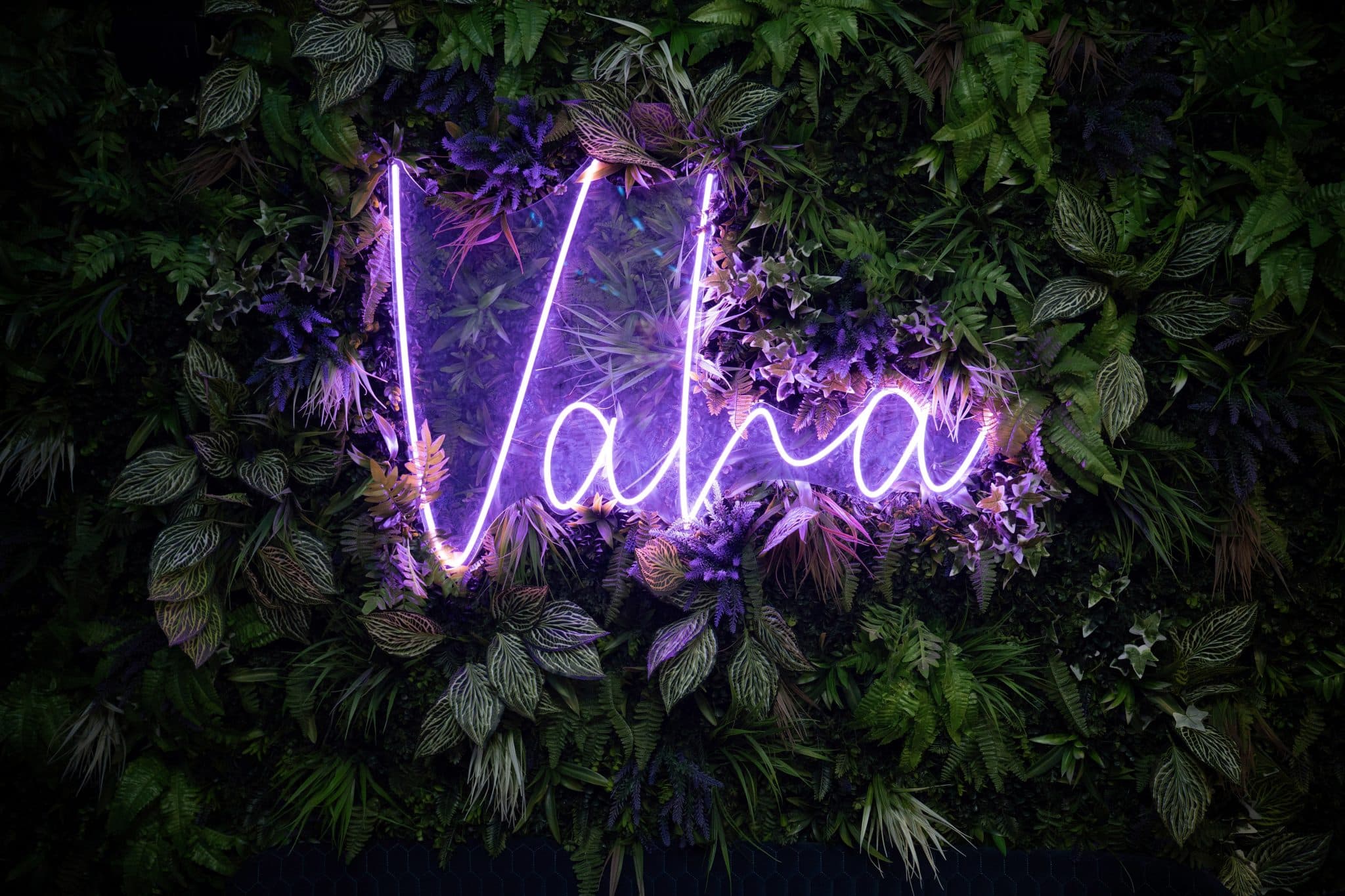 Vaha Lounge and Restaurant photo 3