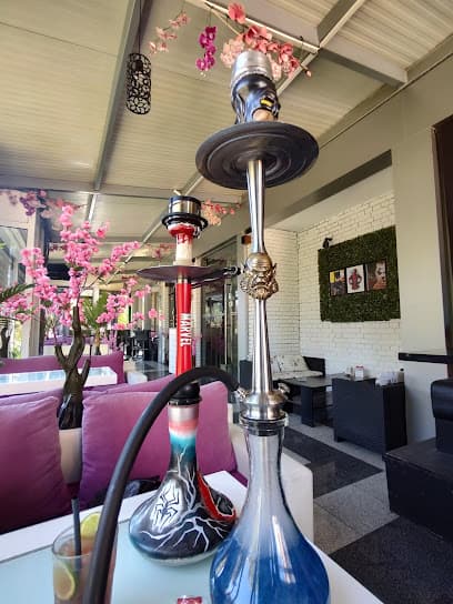 Hooka Planet photo 3