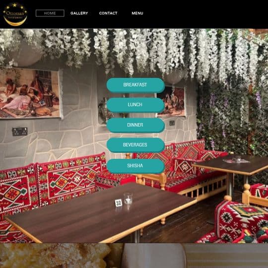Ottoman shisha bar photo 1