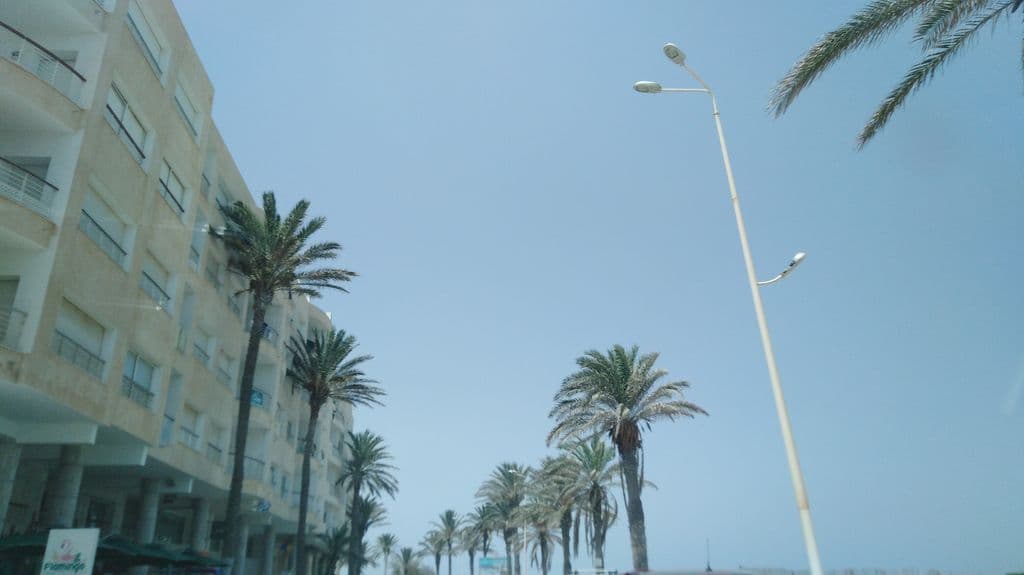 Street view near Flamingo restaurant café
