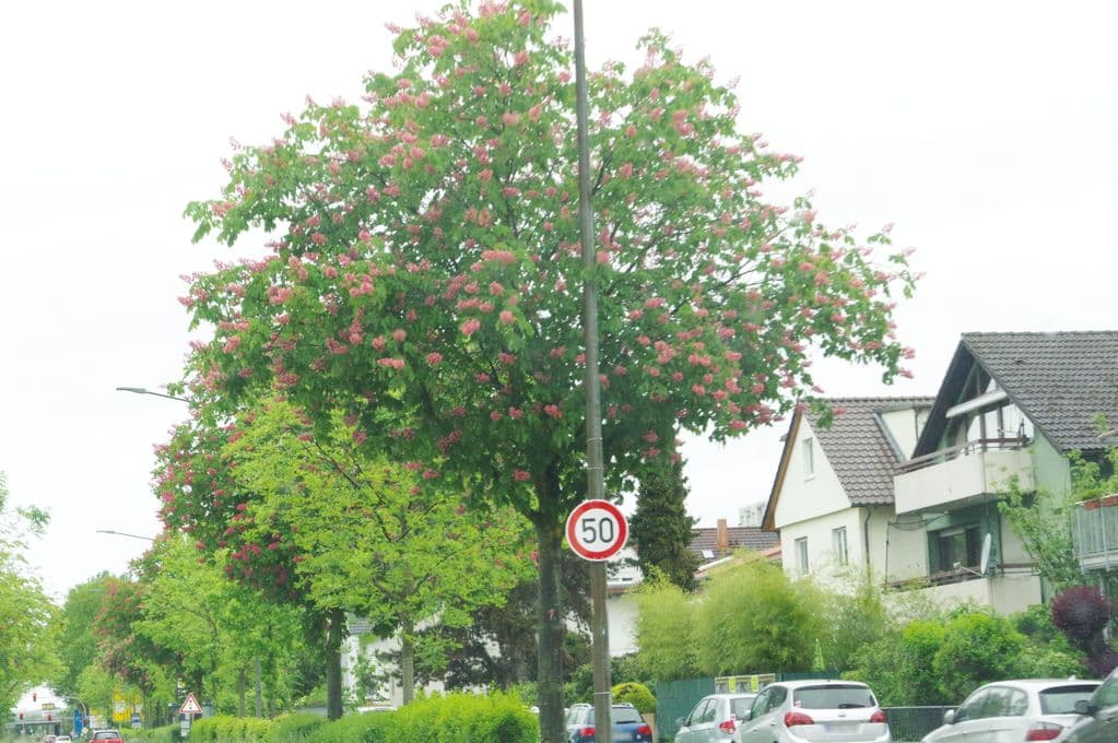 Street view near 63 Sixty-Three