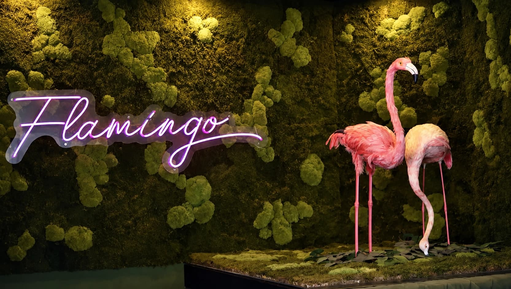 Flamingo Bar & Shisha photo 6
