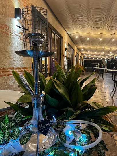 Trace Shisha