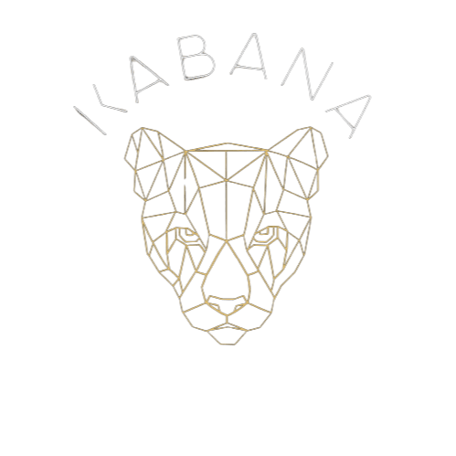 Kabana Shisha Lounge photo 2