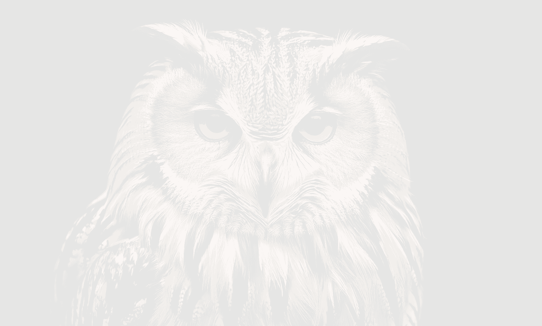 HiBOU photo 1
