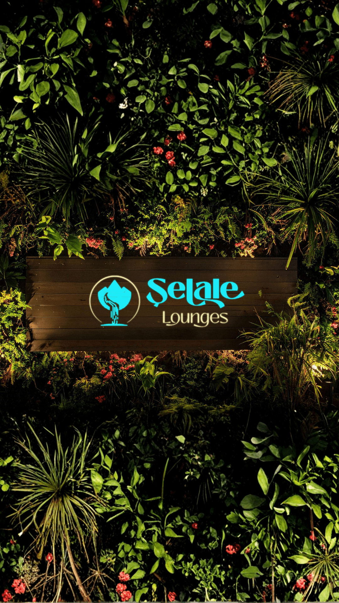 Şelale Lounges photo 2