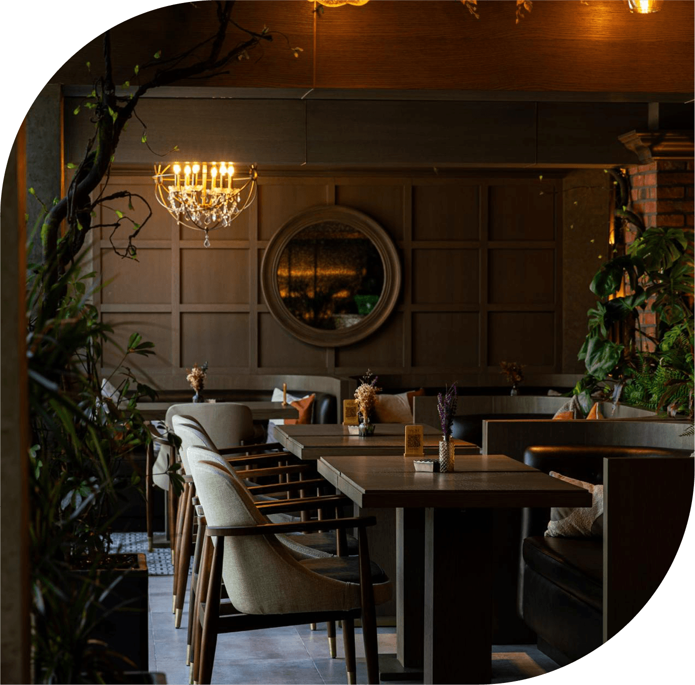 Savour Restaurant and Premium Shisha Lounge