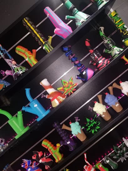Miami Hookah Headz Smoke Shop photo 1