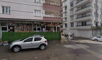 Eylül Nargile photo 1