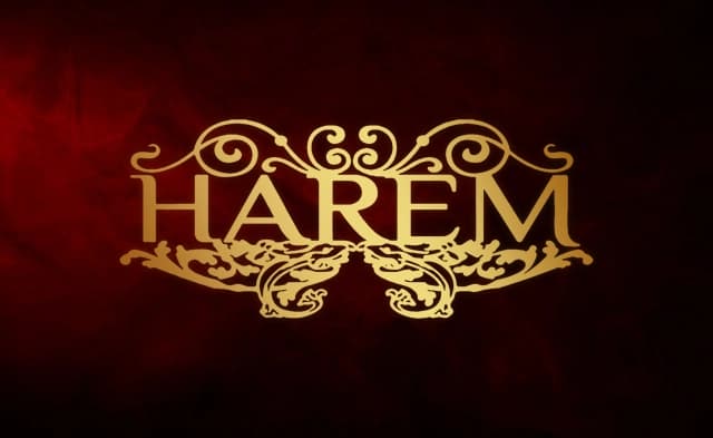 Harem Club Phuket photo 2