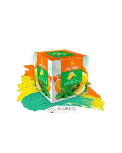 ROSARIO NARGUILES photo 3