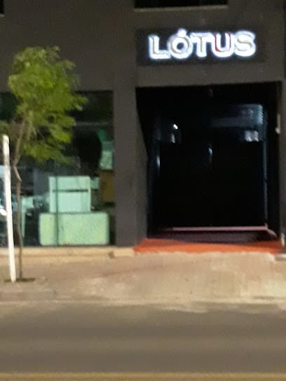Lótus Hookah Lounge photo 2