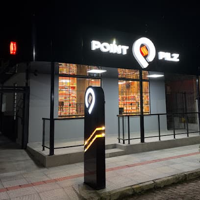 Point Pilz photo 1