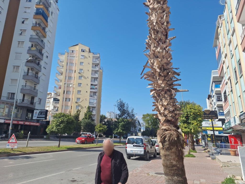 Street view near REPUBLIC CAFE