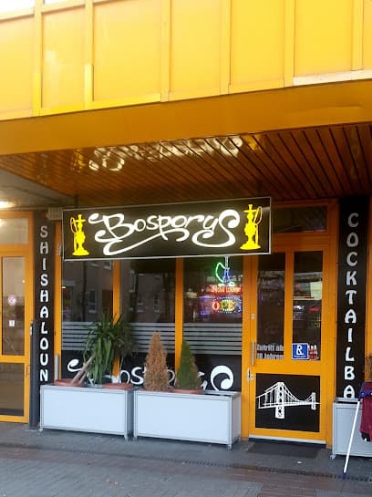 Bosporus Shisha photo 1