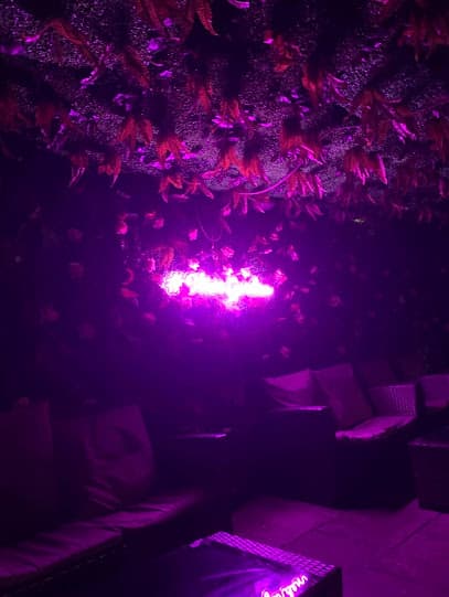 Al fakhr lounge photo 2