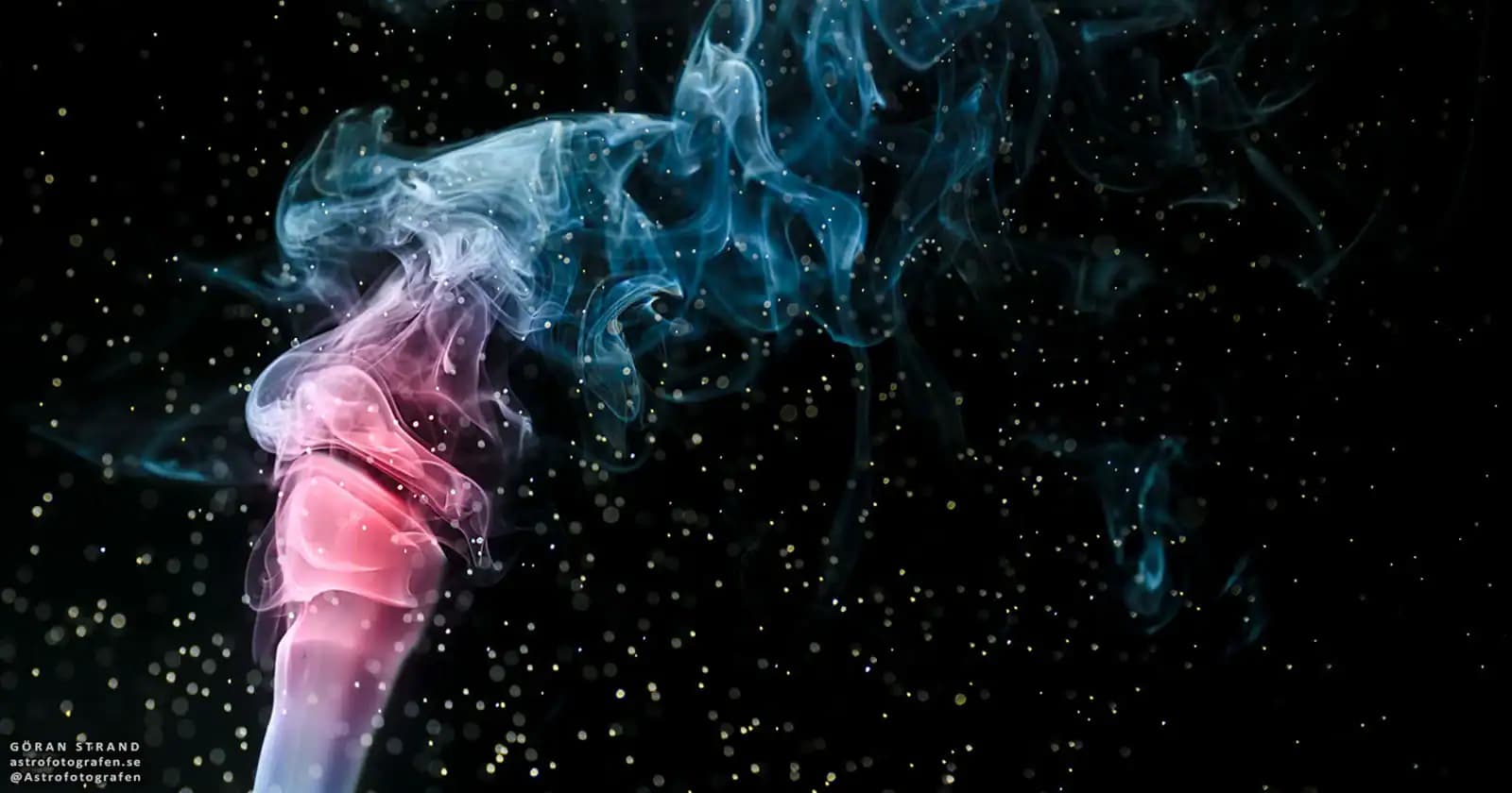 Shisha Goods • Buy Hookah Pipes & Flavours Online photo 5